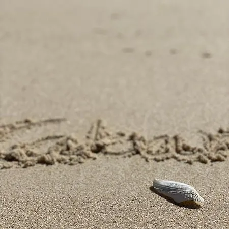 Fantástico T2 A 2min Do Acesso à Cozyin Apartamento