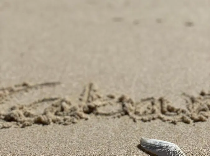 Fantastico T2 A 2min Do Acesso A Cozyin アパート