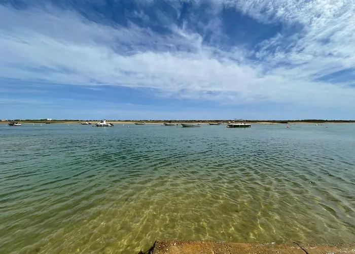 Daire Fantastico T2 A 2min Do Acesso A Cozyin *